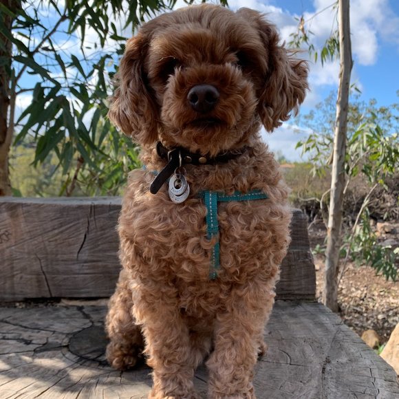 Hello! I'm Sarah - Picture 2 of 4